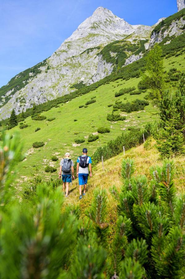 Alpen Oberlehengut Salzburger Land * Werfenweng