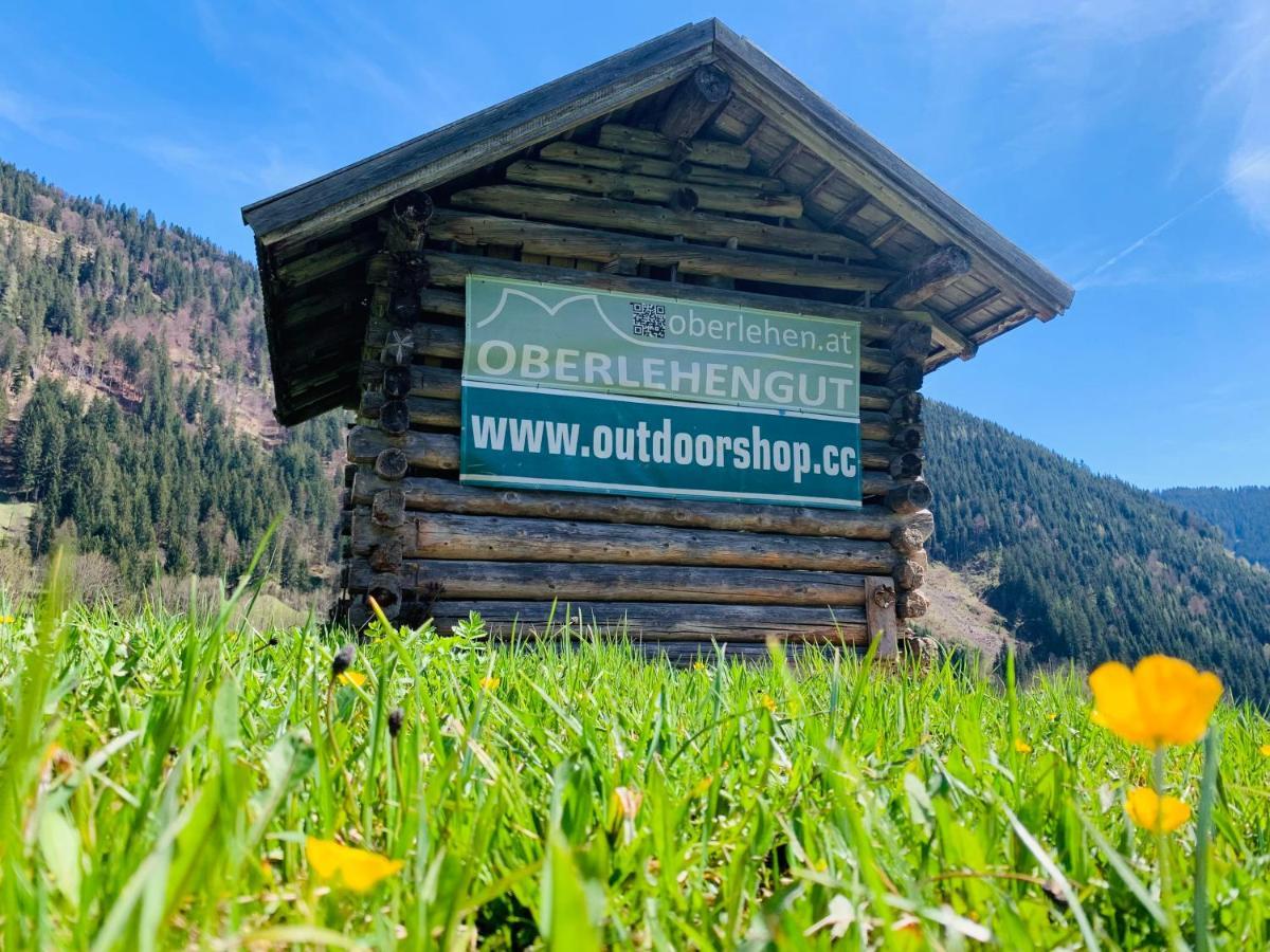 Apartment Alpen Oberlehengut Salzburger Land Werfenweng
