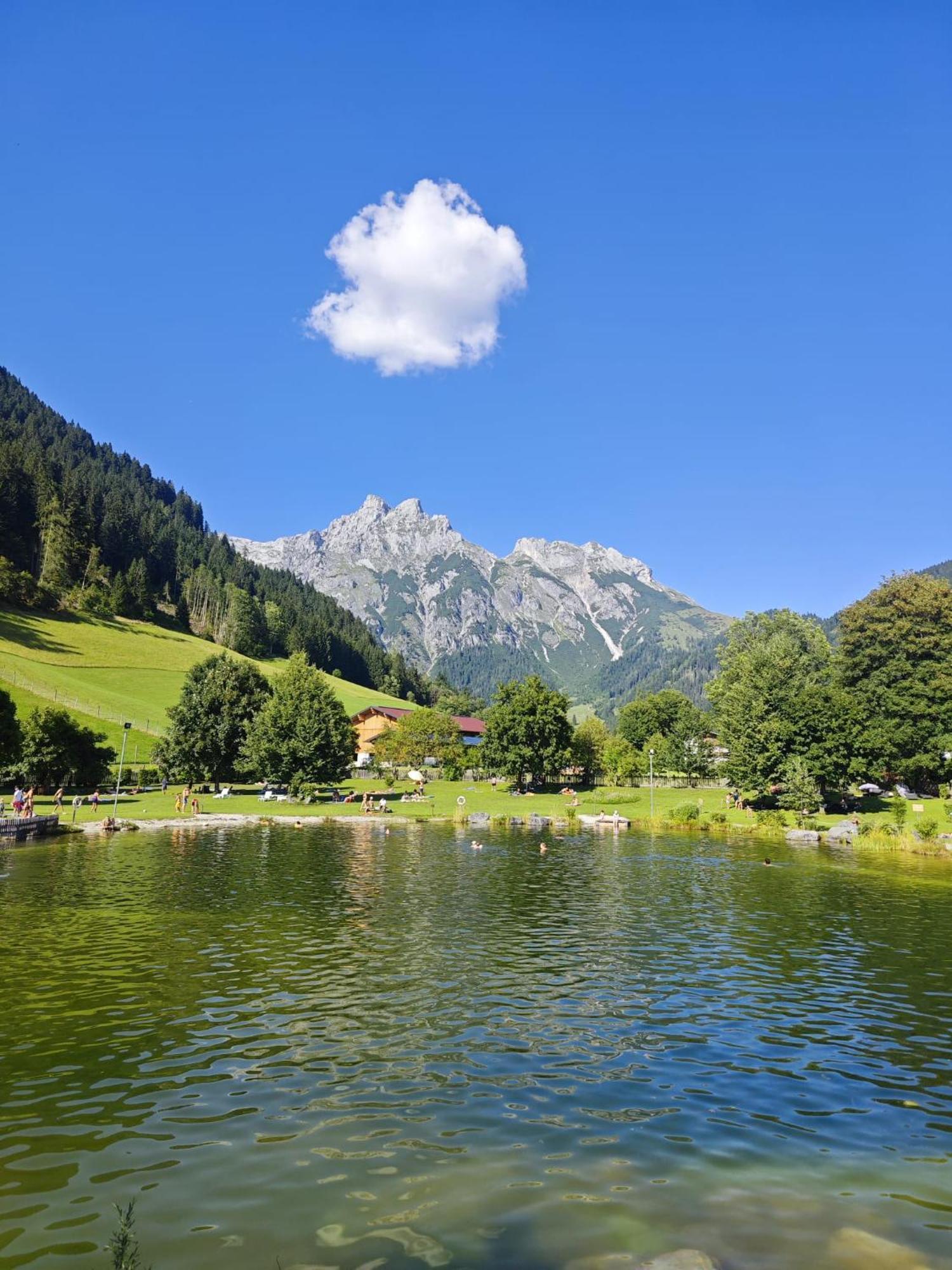 Alpen Oberlehengut Salzburger Land Apartment Werfenweng
