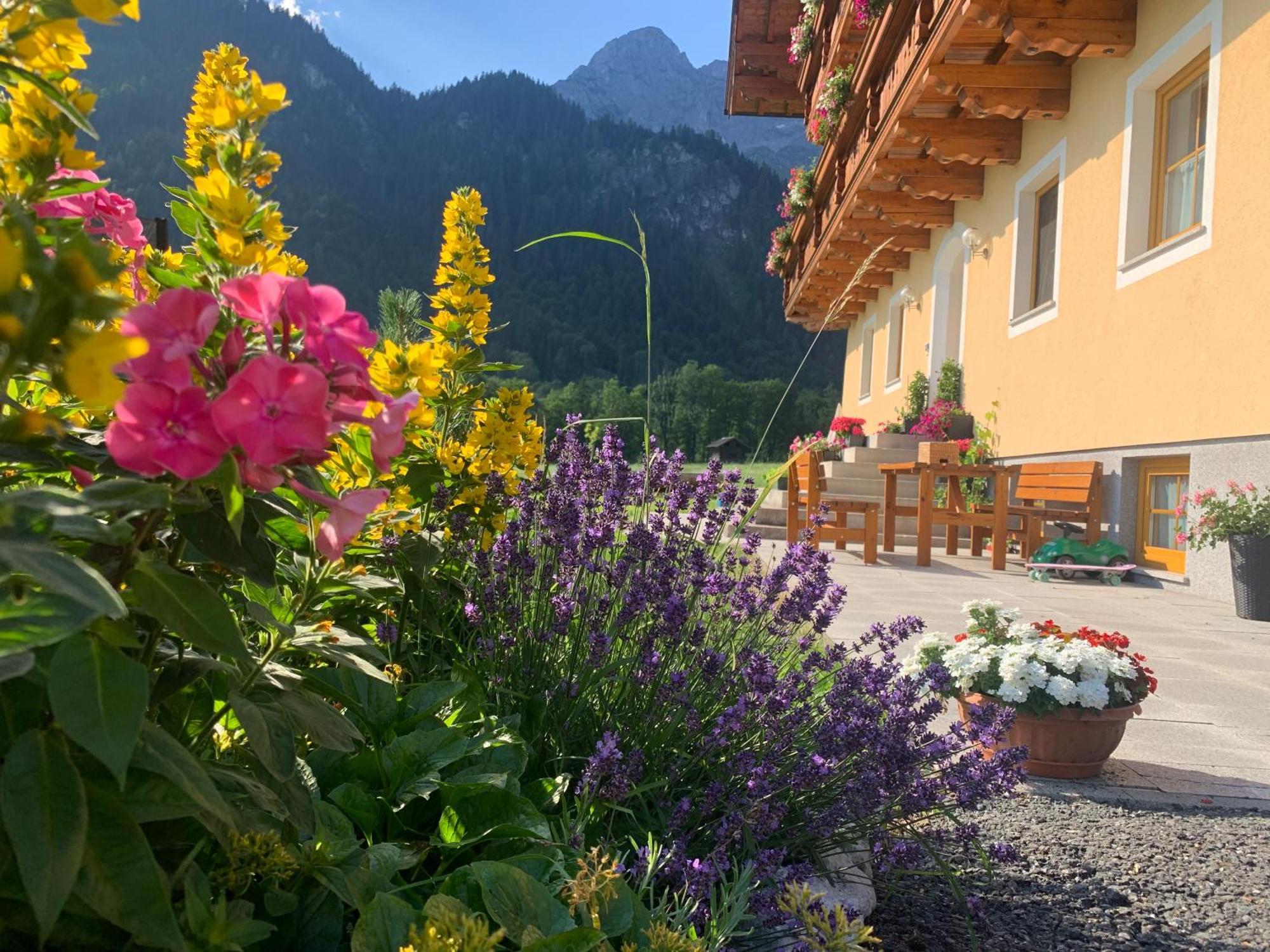 Apartment Alpen Oberlehengut *