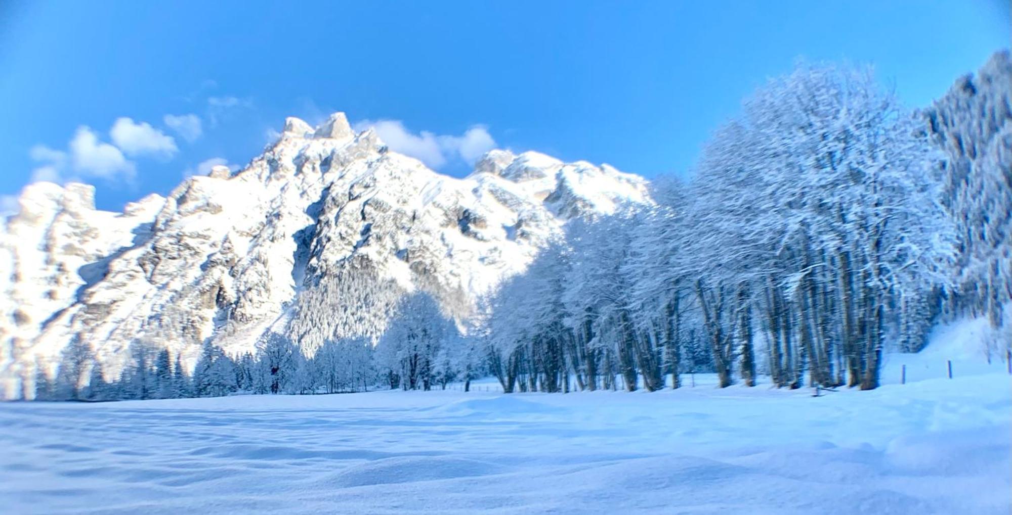 Alpen Oberlehengut Salzburger Land