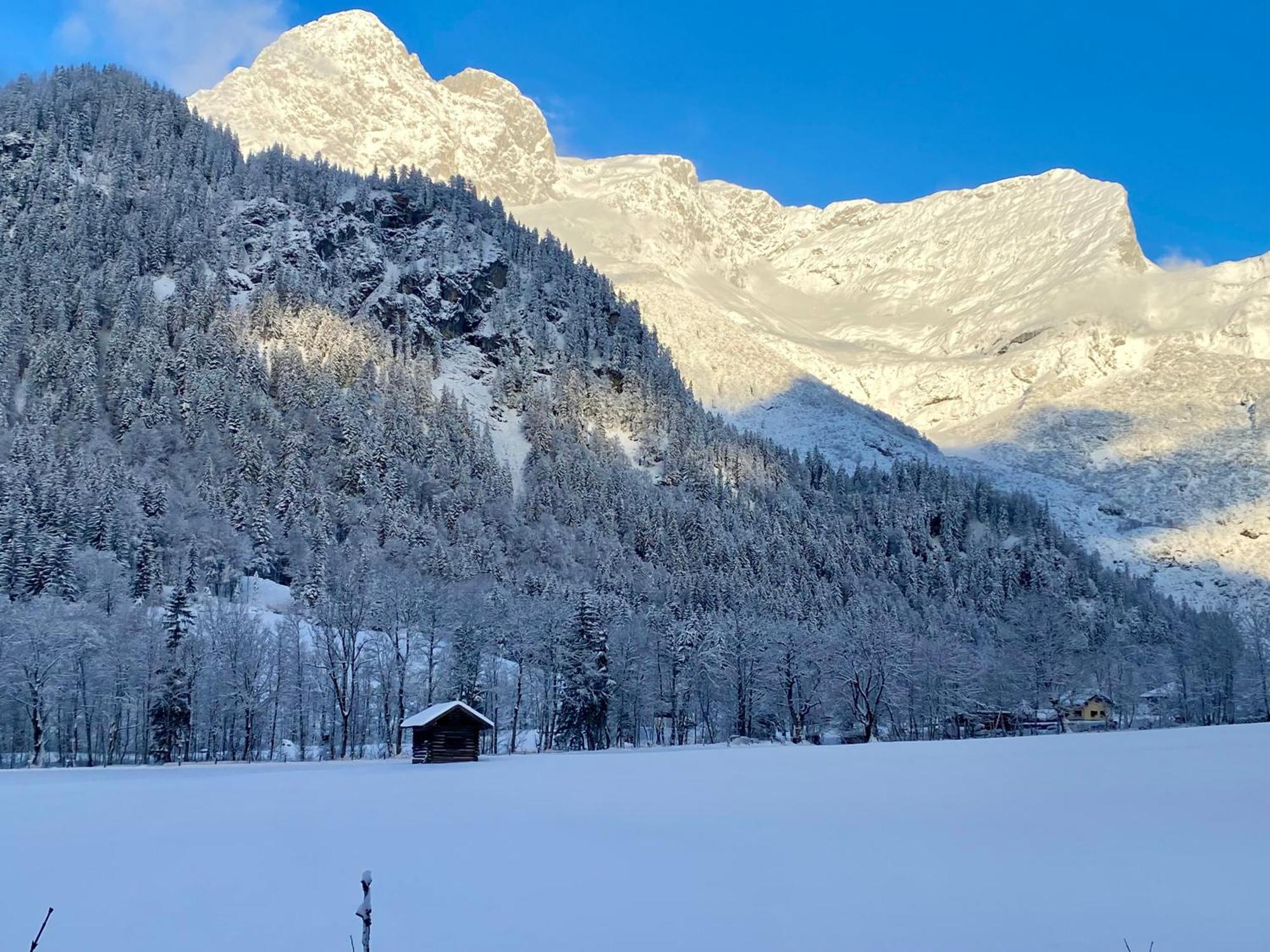 Apartment Alpen Oberlehengut Salzburger Land *