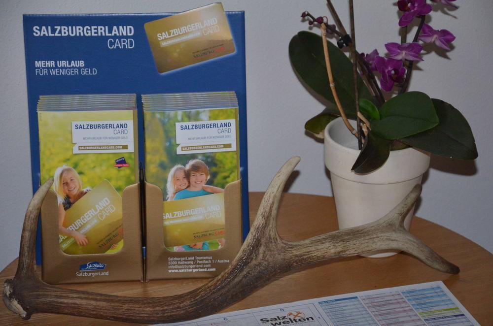Alpen Oberlehengut Salzburger Land Apartment Werfenweng